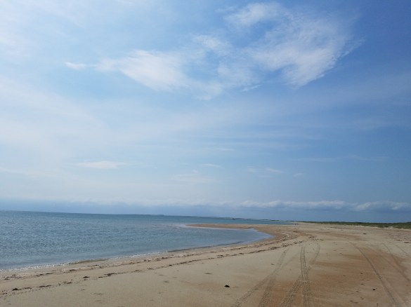 Shackleford Banks